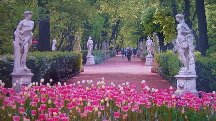 Summer Gardens