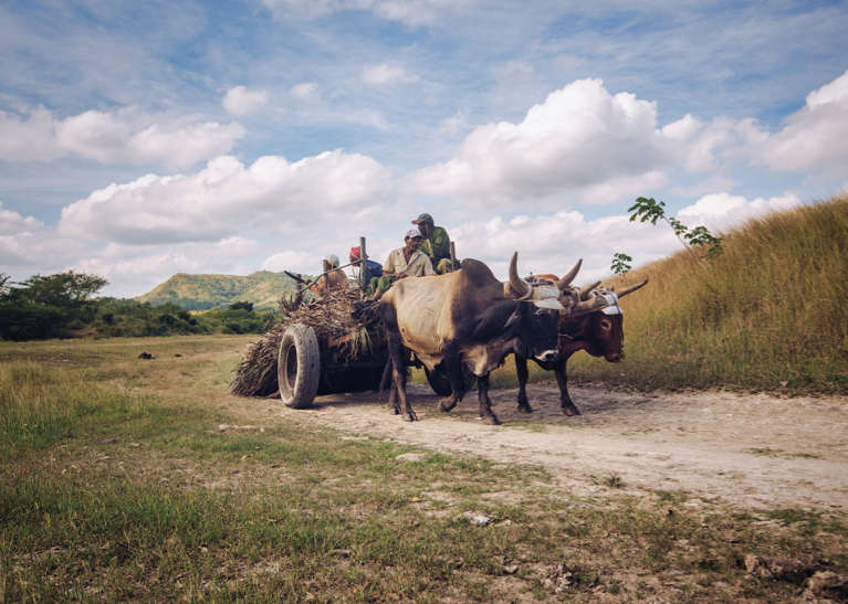 Vallei van Vinales