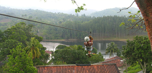 Canopy Ride