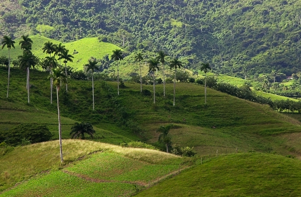 Sierra Escambray