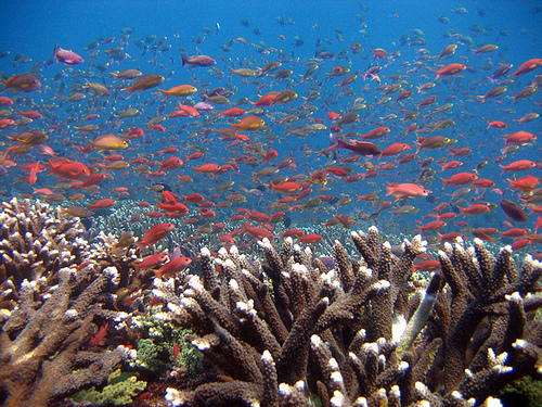 Nusa Penida