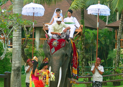 Ubud olifanten