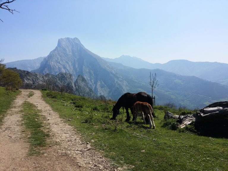 Cantabria