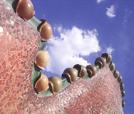 Casa Battlo - Gaudi