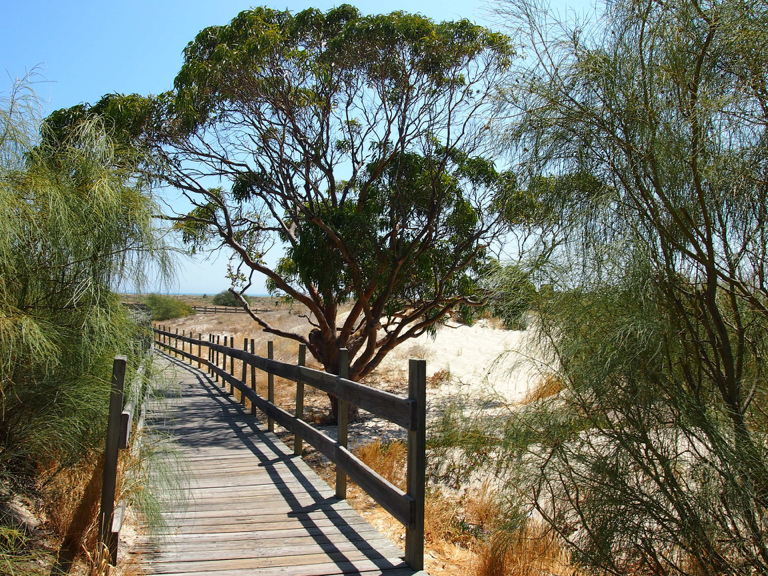 Omgeving Setubal; Troia