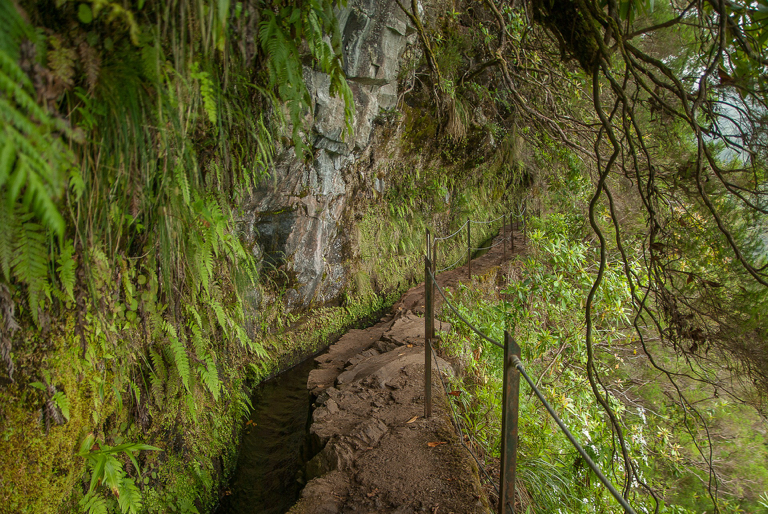 Levada natuurwandelingen