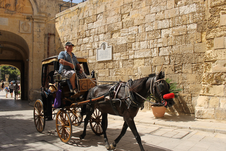 Mdina