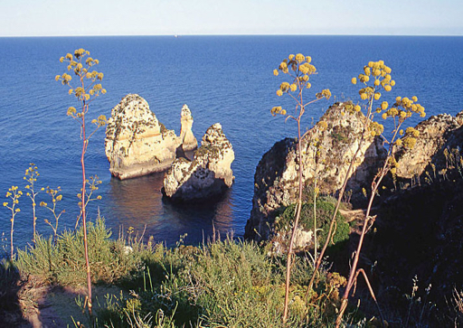 Rondreis zuiden van Portugal - Algarve