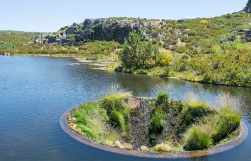 Serra Da Estrela