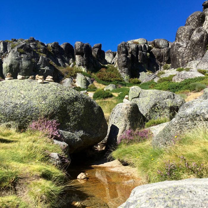 Serra Da Estrela