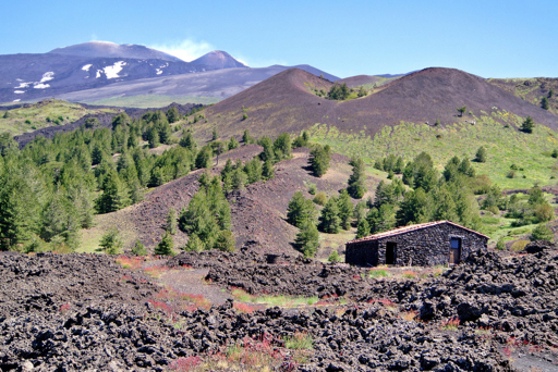 Privé begeleid bezoek aan de Etna