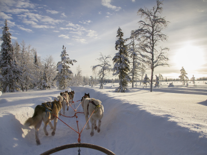 Lapland 2023